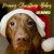 Buy Lee Brovitz - Merry Christmas Baby (CDS) Mp3 Download
