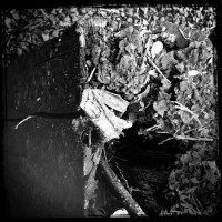 Purchase Dirk Serries - Streams Of Consciousness 152401
