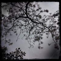 Purchase Dirk Serries - Treasure Of Stars (Streams Of Consciousness)