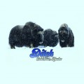 Buy Ditch - Coldfoot, Alaska (EP) Mp3 Download