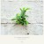 Buy Le Code & Kaptep - Urban Garden Mp3 Download