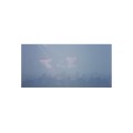 Buy Tiny Yawn - Yawn (EP) Mp3 Download