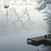 Purchase Unusual Cosmic Process - Silent Ambience (EP)