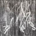 Buy Paar - Die Notwendigkeit Der Notwendigkeit Mp3 Download