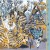 Buy Poil & Ueda - Yoshitsune Mp3 Download