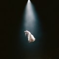 Buy Ariana Grande - Eternal Sunshine Deluxe: Brighter Days Ahead Mp3 Download