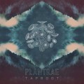Buy Plantrae - Taproot Mp3 Download