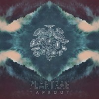 Purchase Plantrae - Taproot