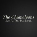Buy The Chameleons - Live At The Hacienda Mp3 Download