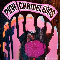 Purchase Pink Chameleons - Harmony