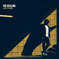 Purchase Jasper Steverlinck - The Healing