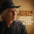 Buy Steve Postell - Walking Through These Blues Mp3 Download