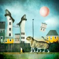 Buy Jason Wade - A Likely Story Mp3 Download