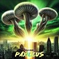 Buy Rolf Zero - Paxillus Mp3 Download