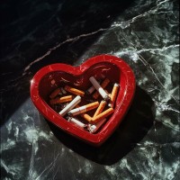 Purchase Dutch Melrose - Forget You (CDS)