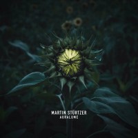 Purchase Martin Stürtzer - Auralume