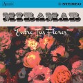 Buy Miramar - Entre Tus Flores Mp3 Download