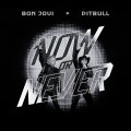 Buy Pitbull & Bon Jovi - Now Or Never (CDS) Mp3 Download