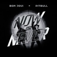 Purchase Pitbull & Bon Jovi - Now Or Never (CDS)