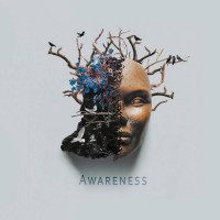 Purchase As Night Falls - Awareness