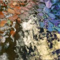 Buy Inclusion Principle - The Leaf Factory Fallback Mp3 Download