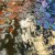 Buy Inclusion Principle - The Leaf Factory Fallback Mp3 Download