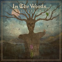 Purchase In The Woods… - Diversum