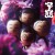 Buy Atarashii Gakko! - マ人間 (EP) Mp3 Download