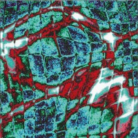Purchase Martin Archer - Pure Water Construction (With Simon H. Fell)