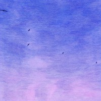 Purchase Auntie Flo - In My Dreams (I'm A Bird And I'm Free)