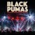 Buy Black Pumas - Live From Brooklyn Paramount Mp3 Download