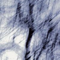 Purchase Mind Over Midi - Fieldwork