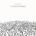 Buy Motionfield - A Flock Of Birds Mp3 Download