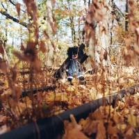 Purchase Billy Woods - Golliwog