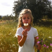 Purchase Roxy Dekker - Mama I Made It