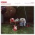 Buy Spangled - Always In Colour Mp3 Download