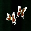 Buy Korine - Tear Remixes Mp3 Download
