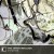 Buy The Winterhouse - Dreaming Mp3 Download