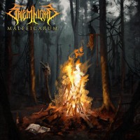 Purchase Salem Nights - Maleficarum