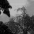 Buy Hilyard - Wintergarden Mp3 Download