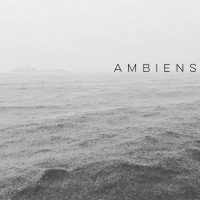 Purchase Andrew Land - Ambiens