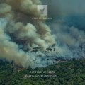 Buy Heavenchord - Save Amazonian Forest Mp3 Download