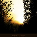 Buy Hilyard - Asleep In Amber Mp3 Download