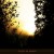 Buy Hilyard - Asleep In Amber Mp3 Download