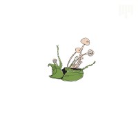 Purchase Mellowdrone - Maquina (EP)