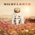 Buy John Coggins - Wildflower Mp3 Download