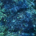 Buy Aoba Ichiko - Luminescent Creatures Mp3 Download