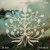 Buy Them Coulee Boys - No Fun In The Chrysalis Mp3 Download