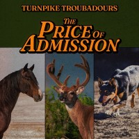 Purchase Turnpike Troubadours - The Price Of Admission