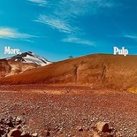 Purchase Pulp - More